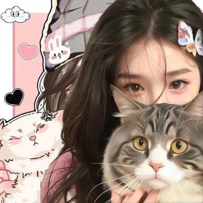 猪猪侠之恐龙日记 第八季